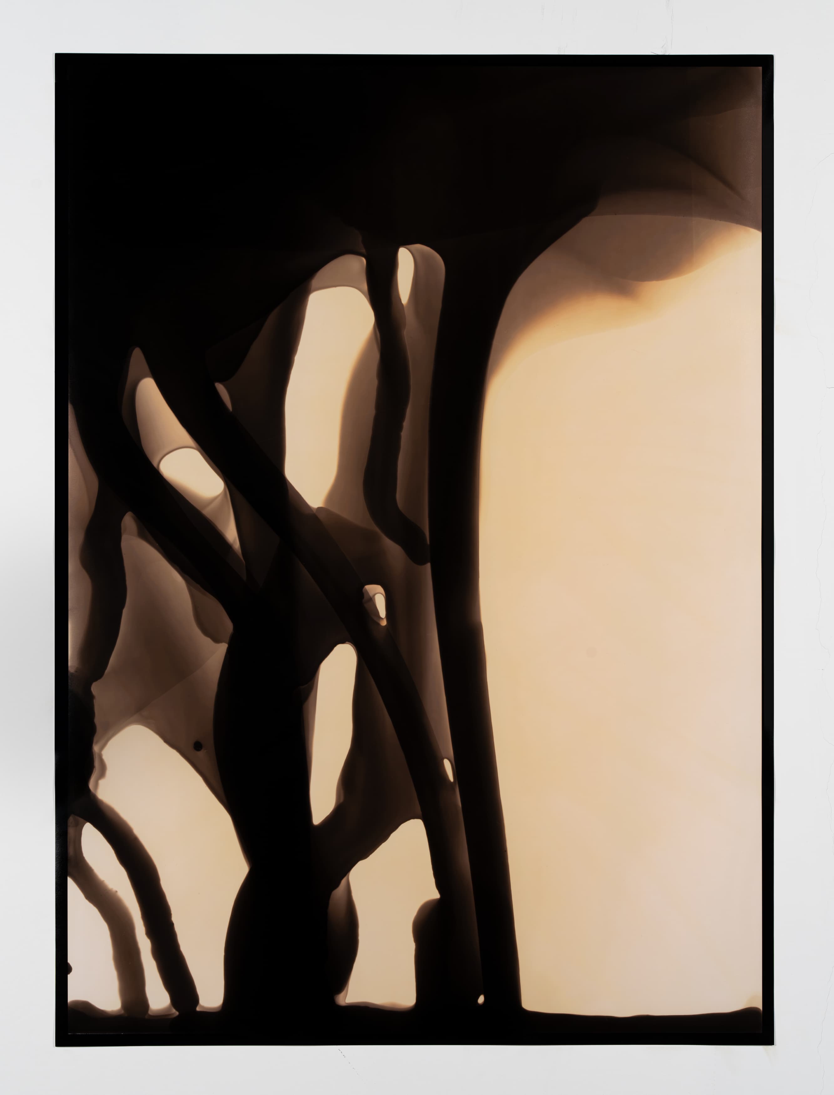 Dendrite #1