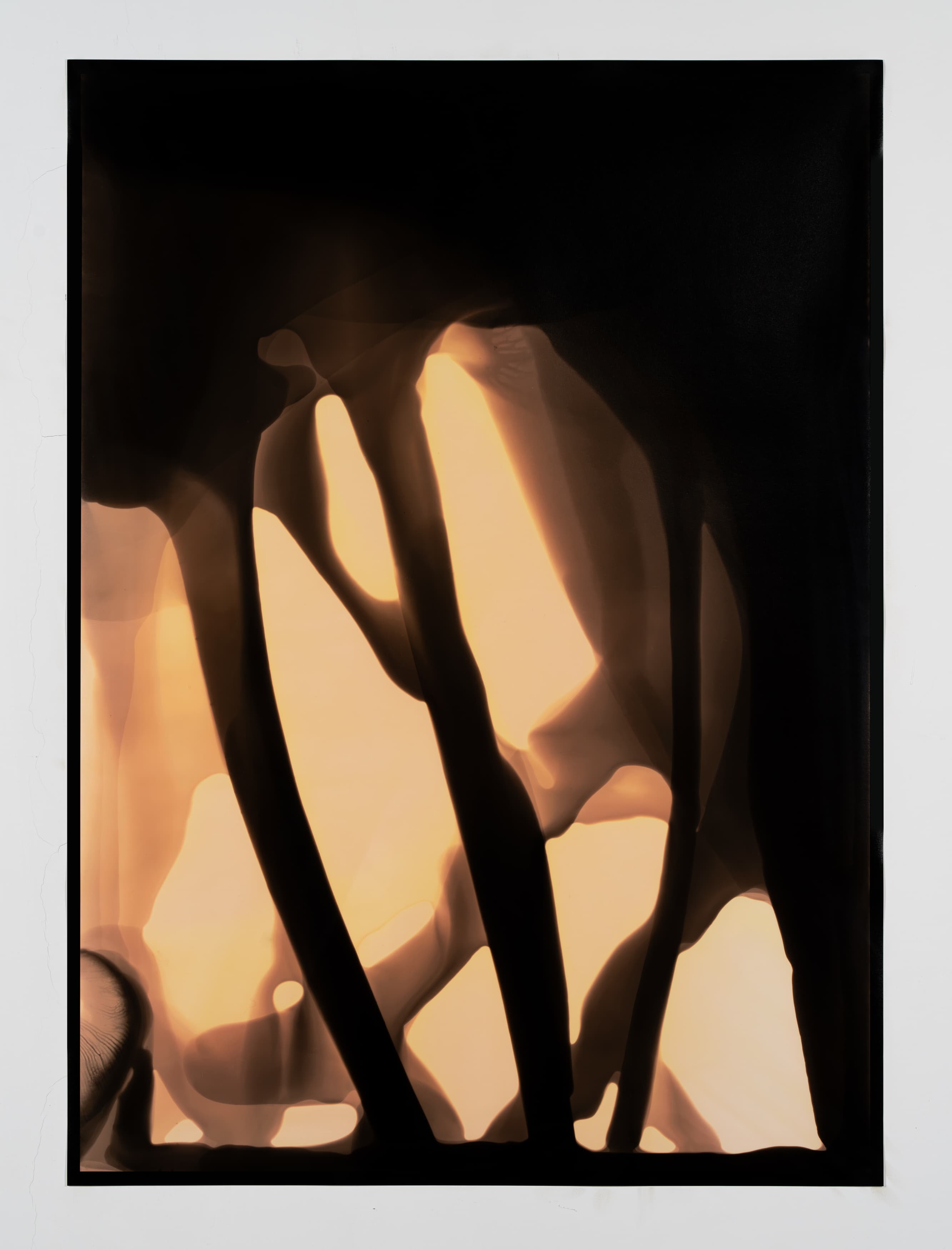 Dendrite #2