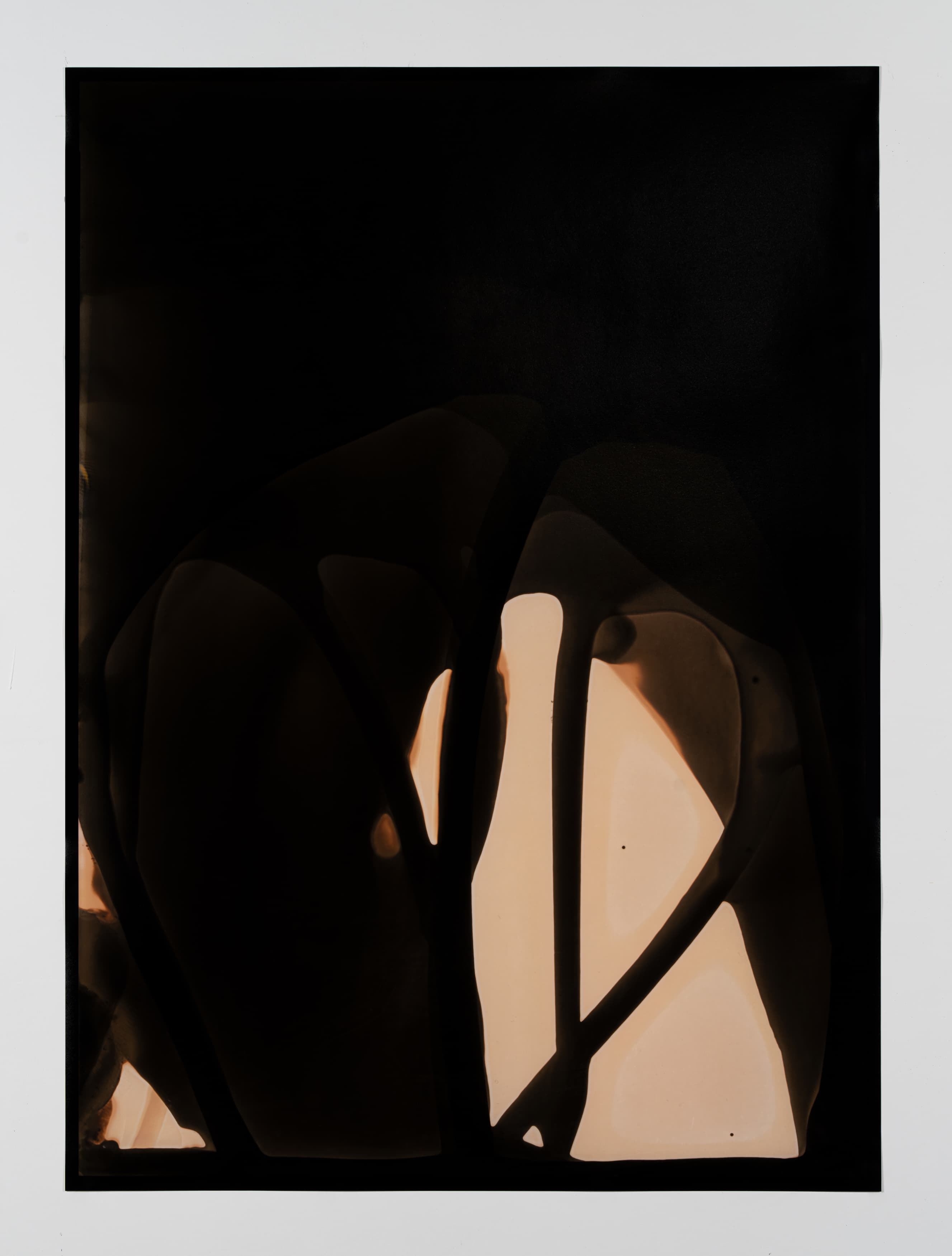 Dendrite #3