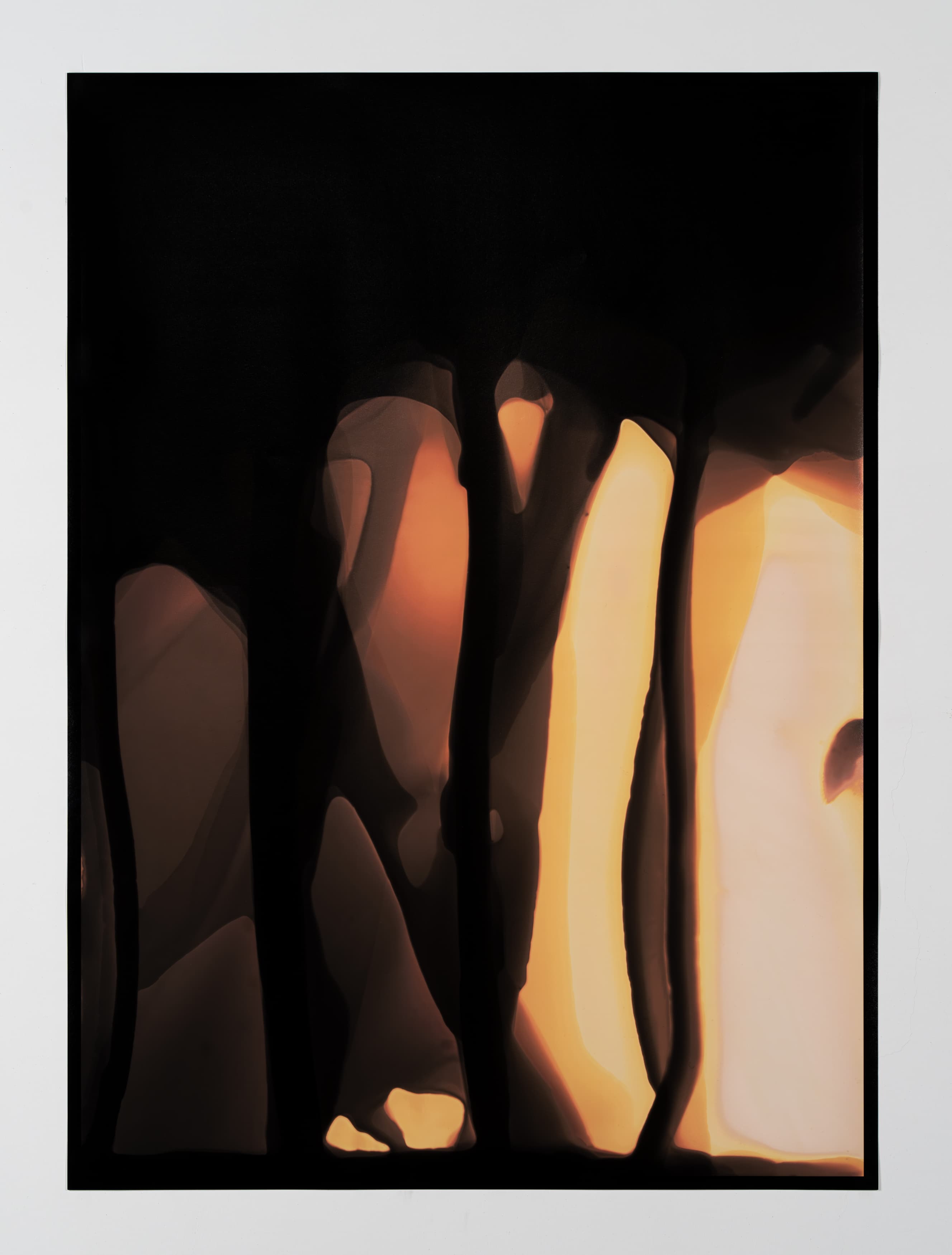 Dendrite #4