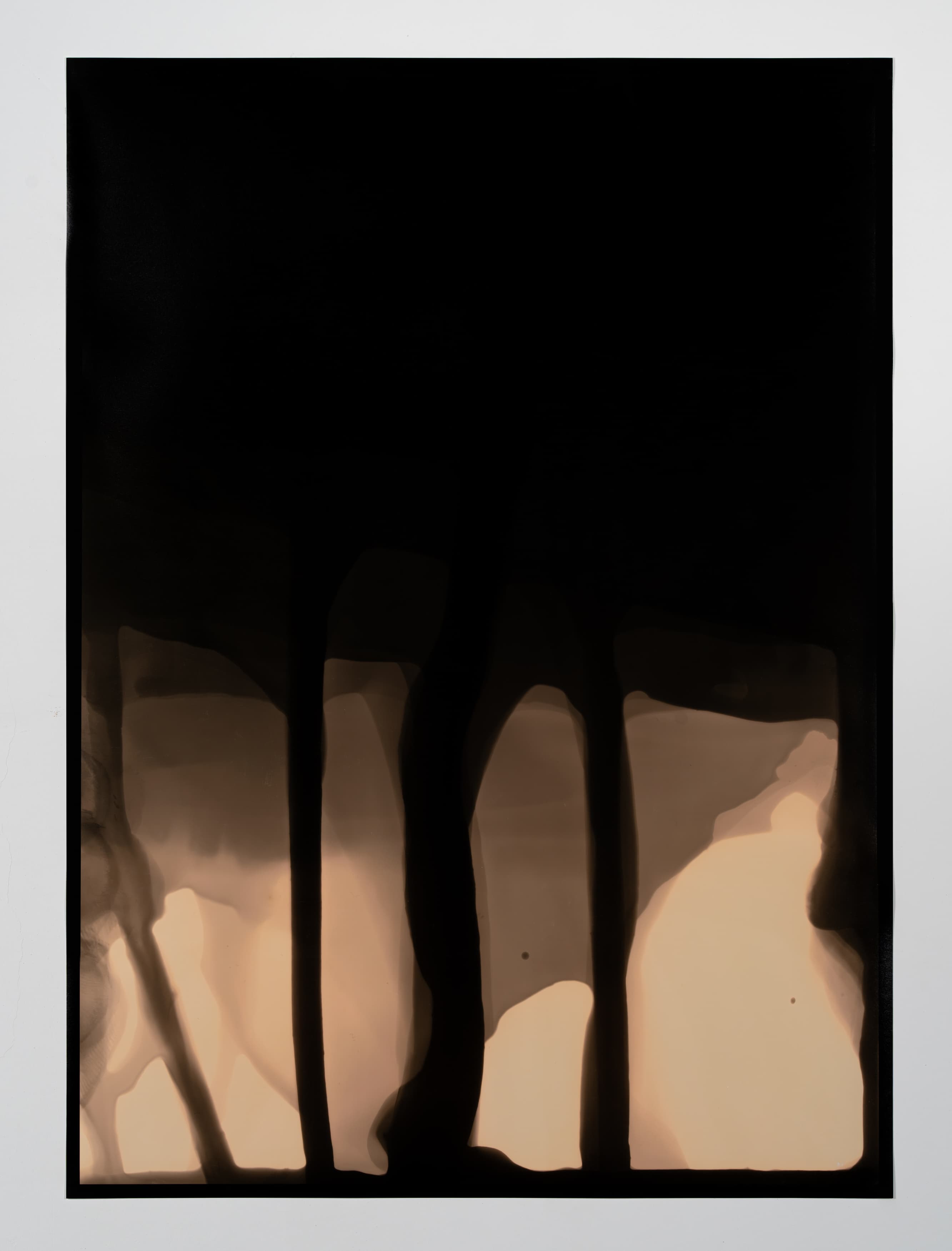 Dendrite #5