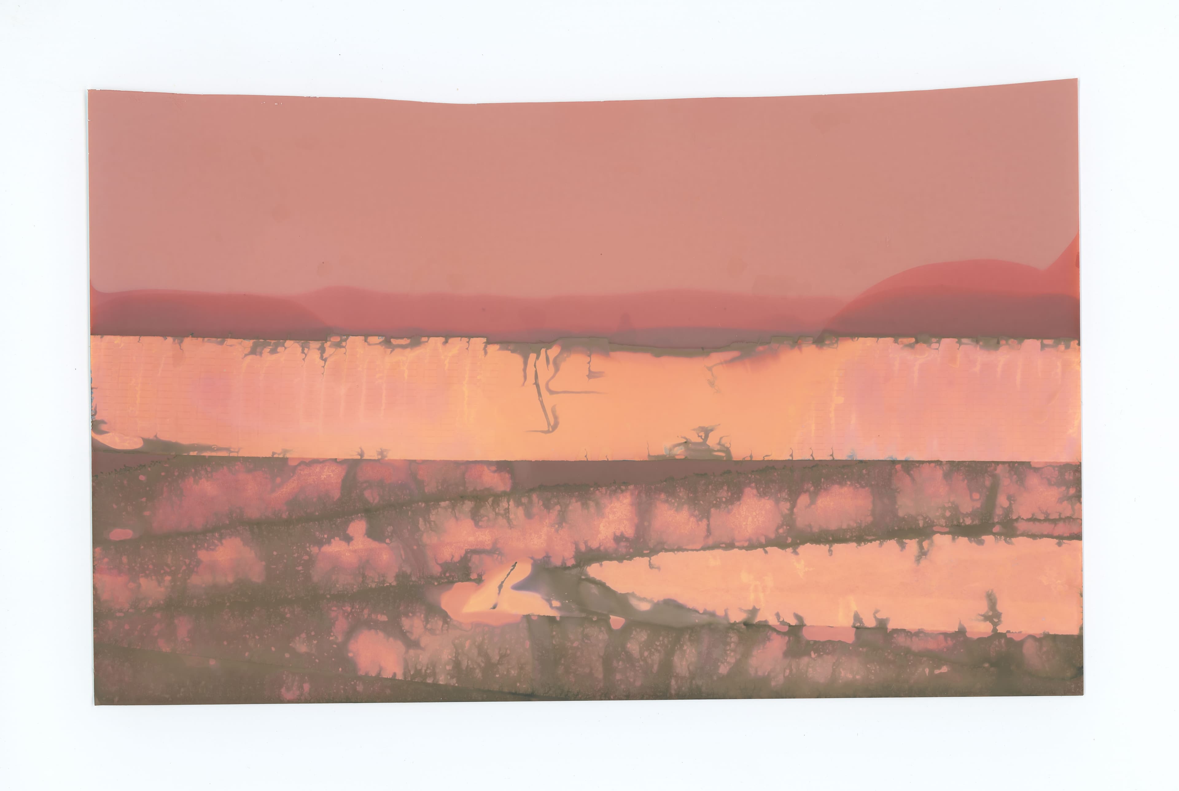(Pink) Nowhere III
