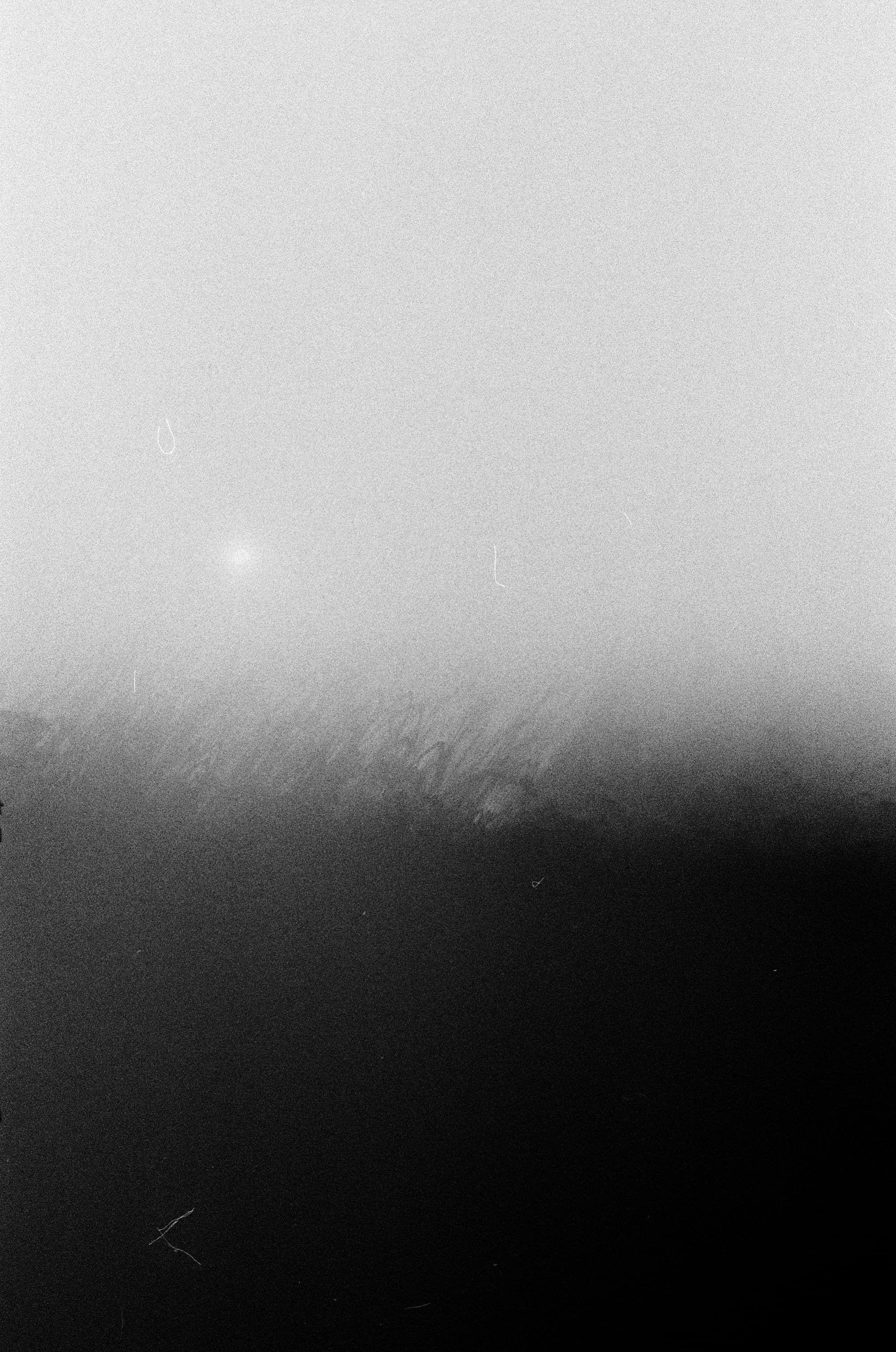 Swamp